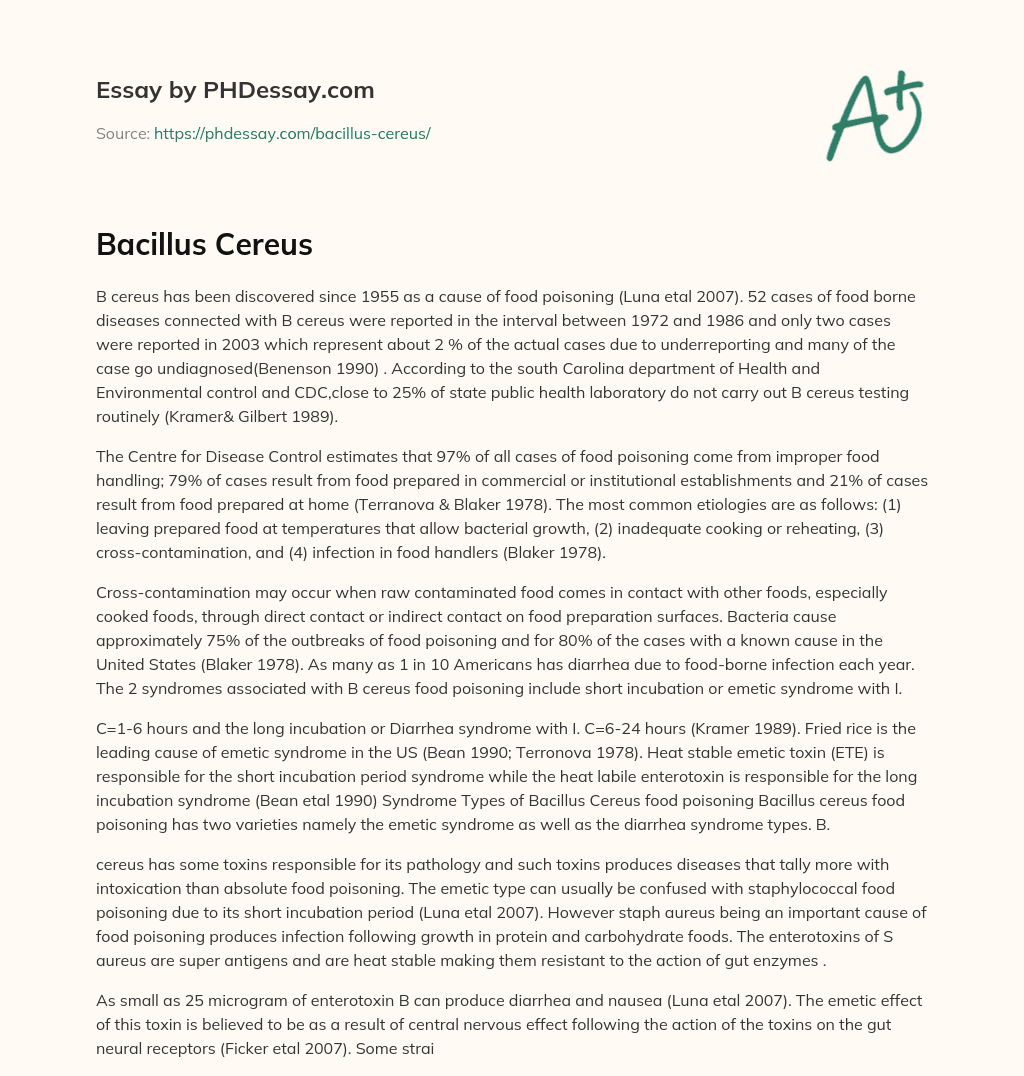 Bacillus Cereus essay