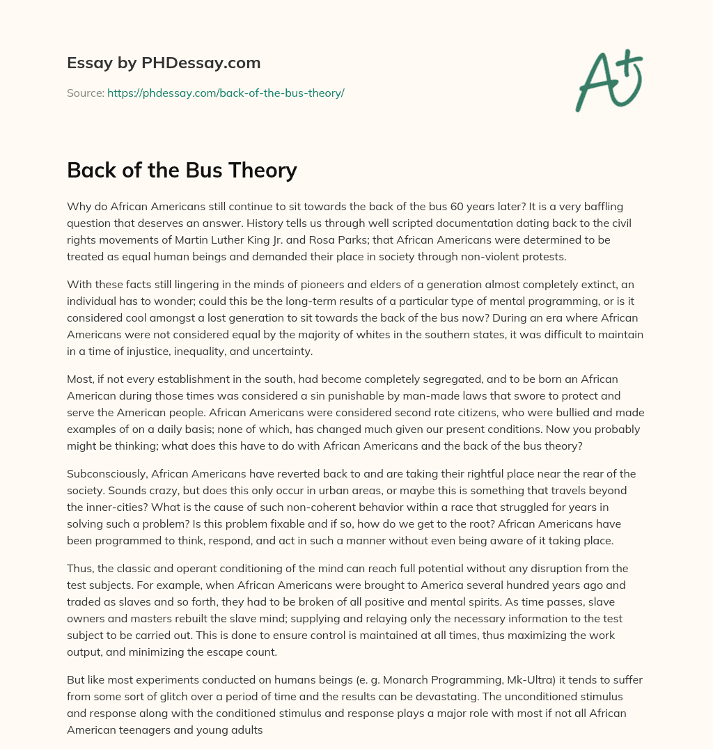 Back of the Bus Theory essay