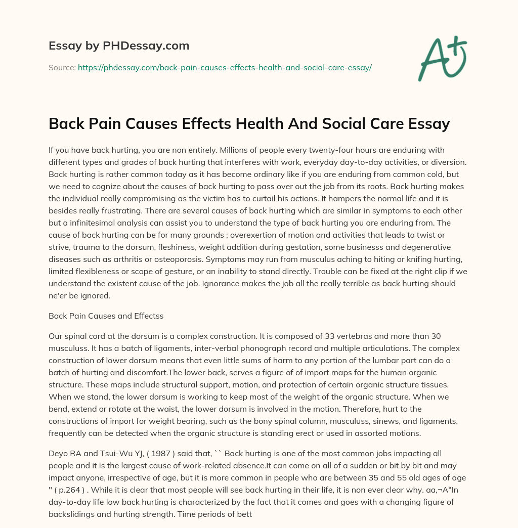 Back Pain Causes Effects Health And Social Care Essay essay