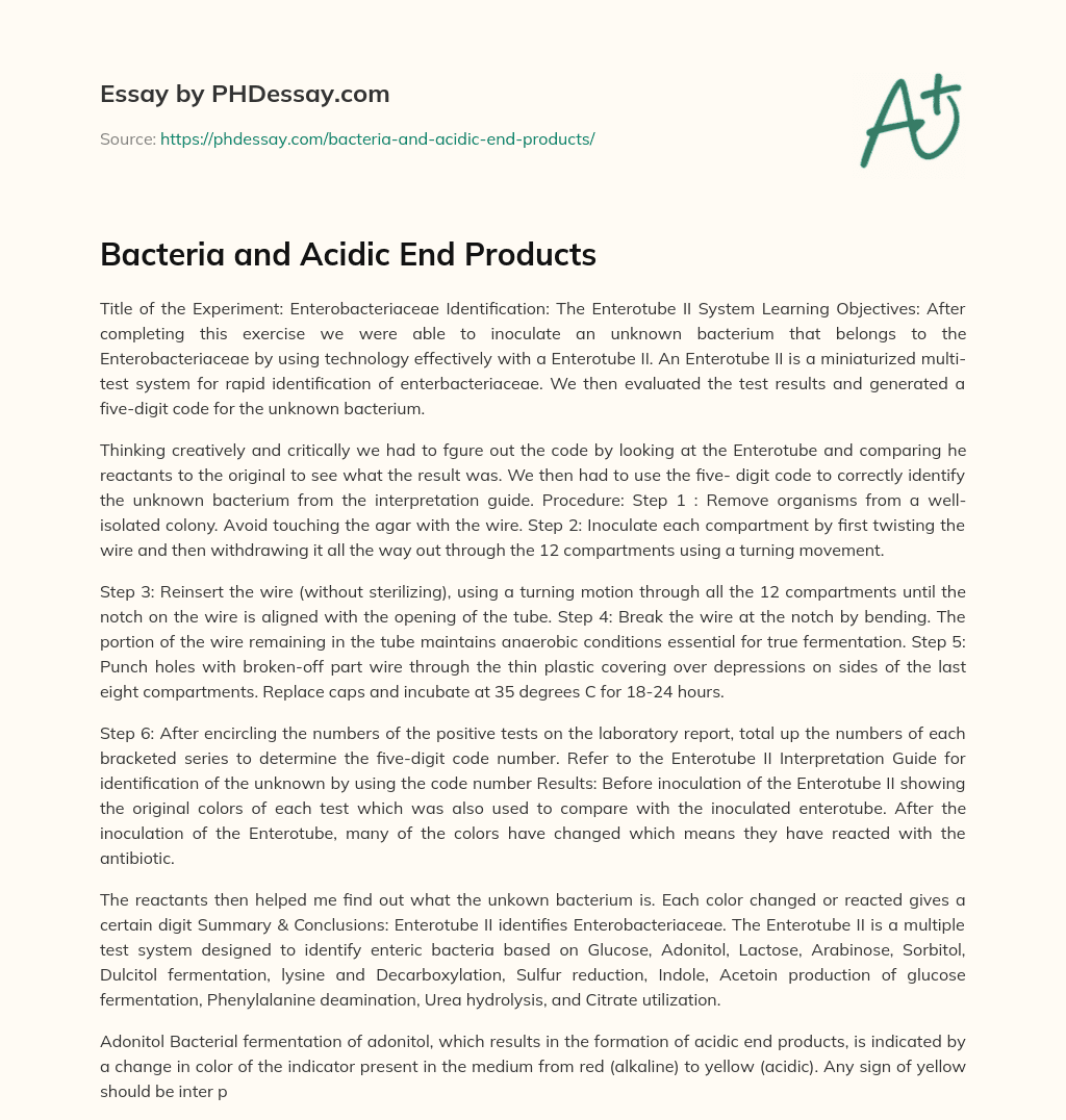 Bacteria and Acidic End Products essay