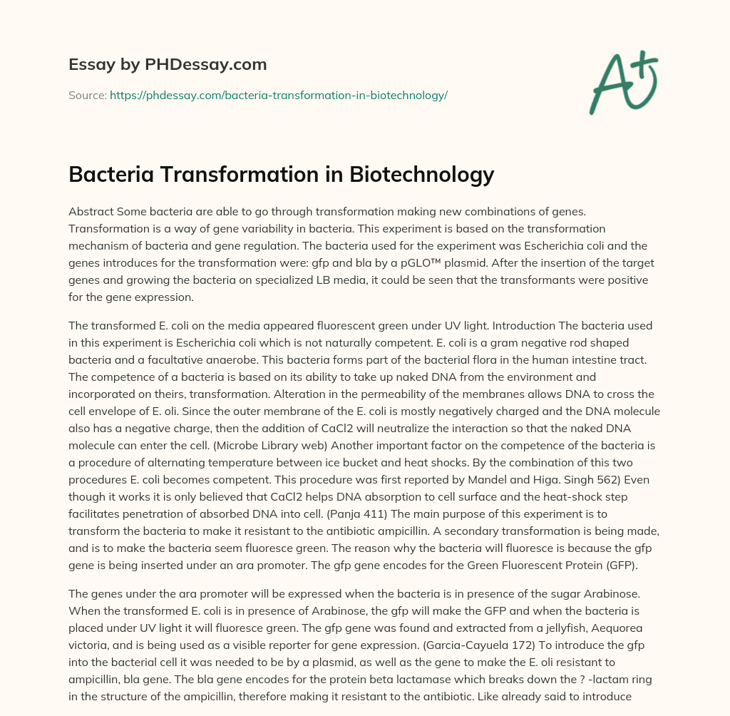 Bacteria Transformation in Biotechnology essay