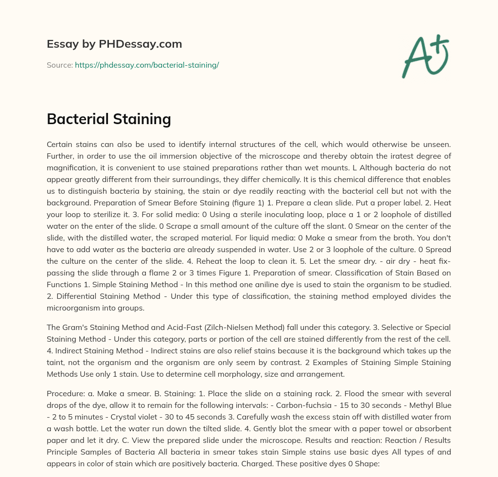 Bacterial Staining essay