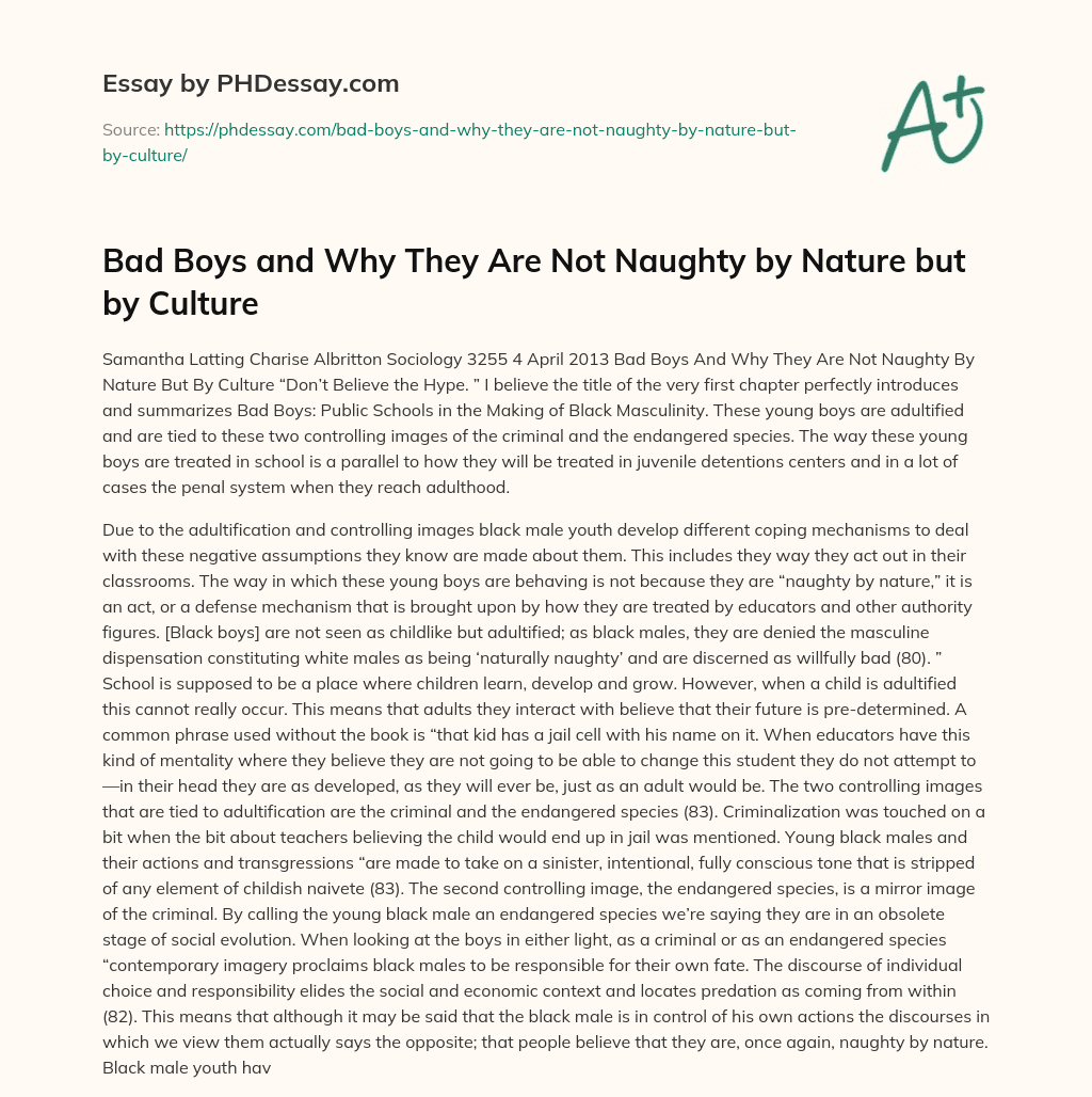 Bad Boys and Why They Are Not Naughty by Nature but by Culture essay