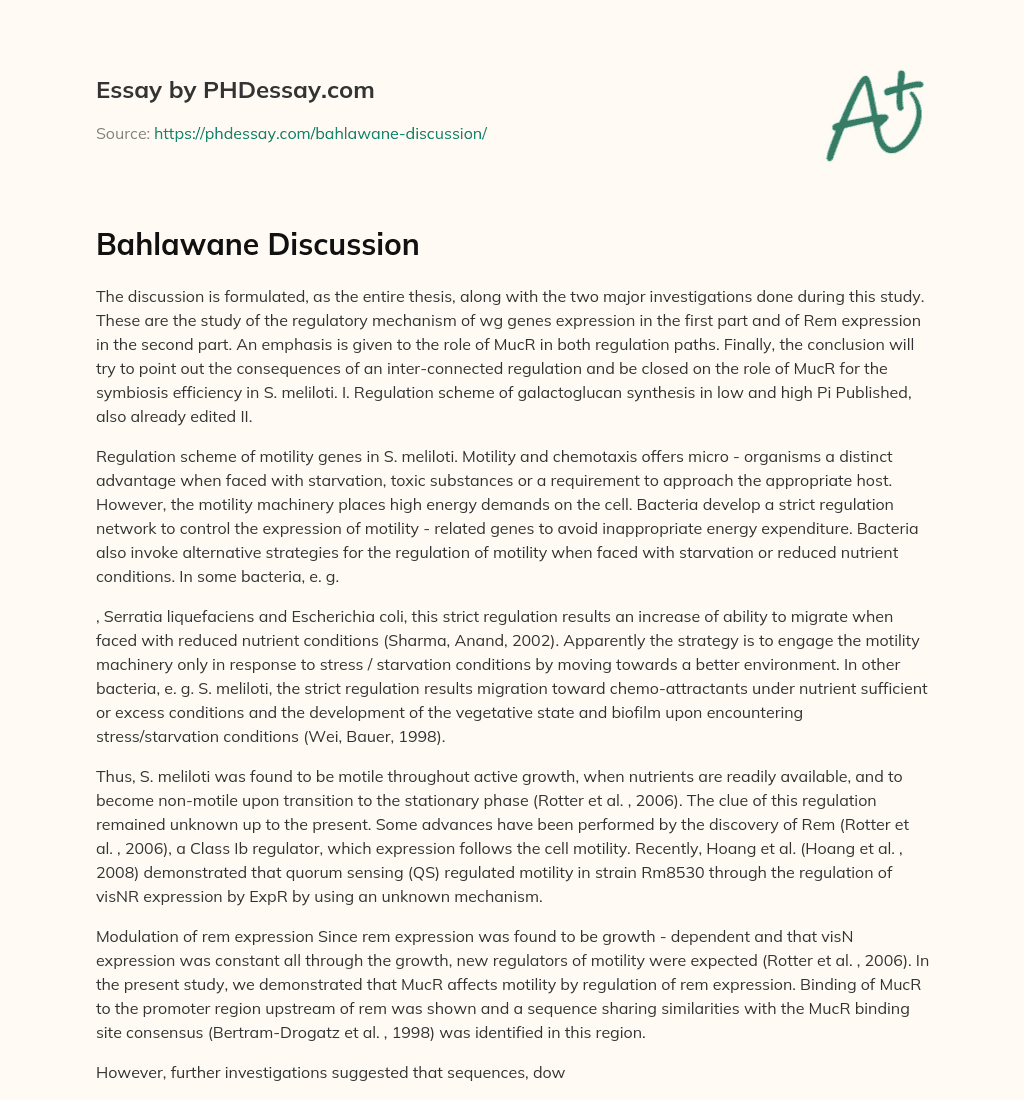 Bahlawane Discussion essay