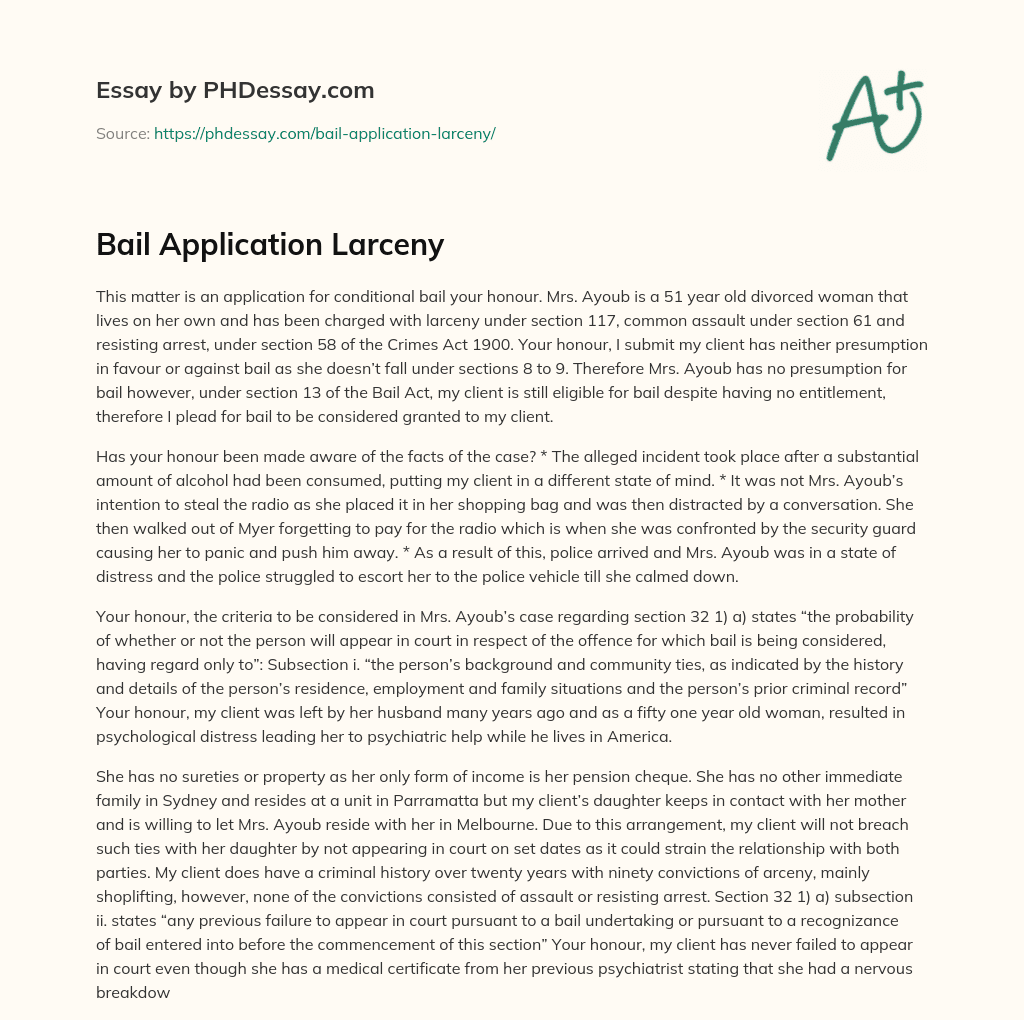 Bail Application Larceny essay