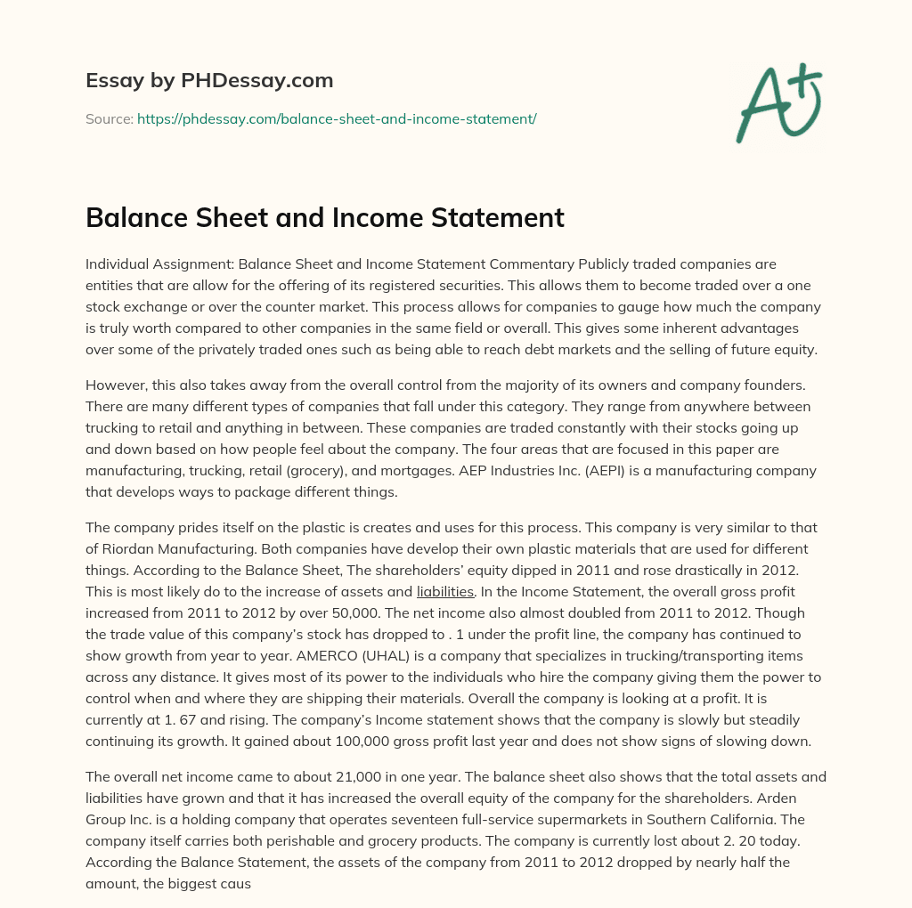Balance Sheet and Income Statement essay