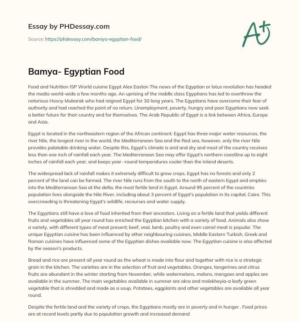 Bamya- Egyptian Food essay