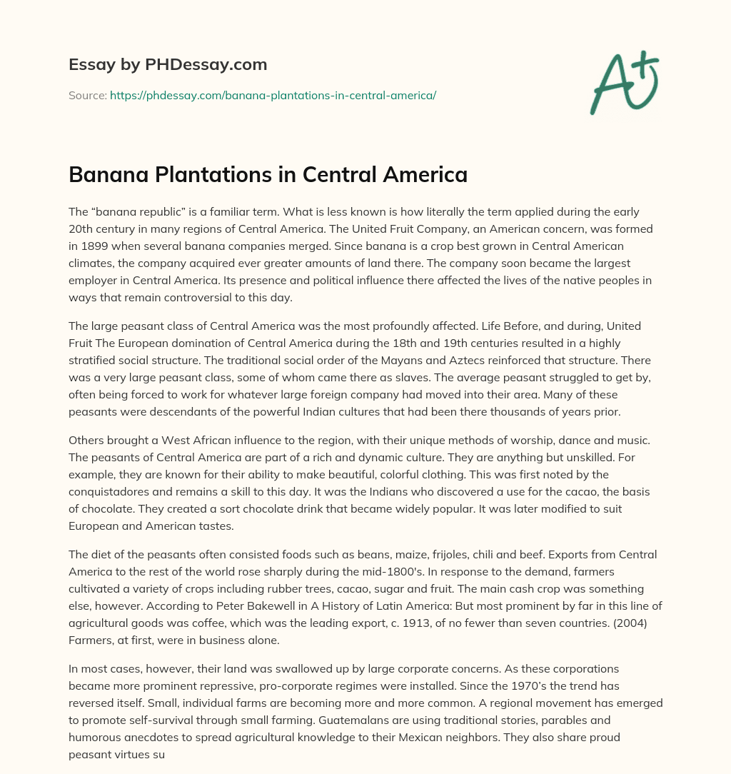Banana Plantations in Central America essay
