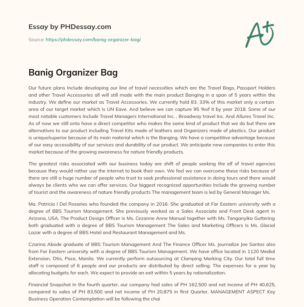 Banig Organizer Bag essay
