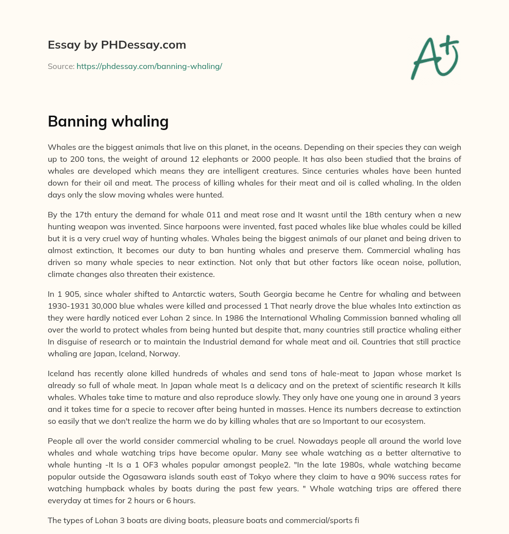 Banning whaling essay