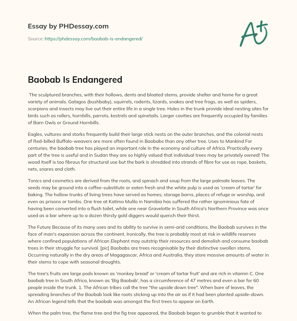 Baobab Is Endangered essay