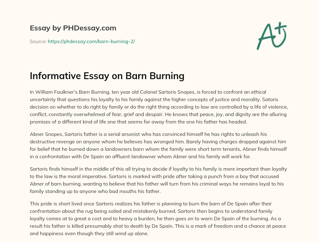 Informative Essay on Barn Burning essay