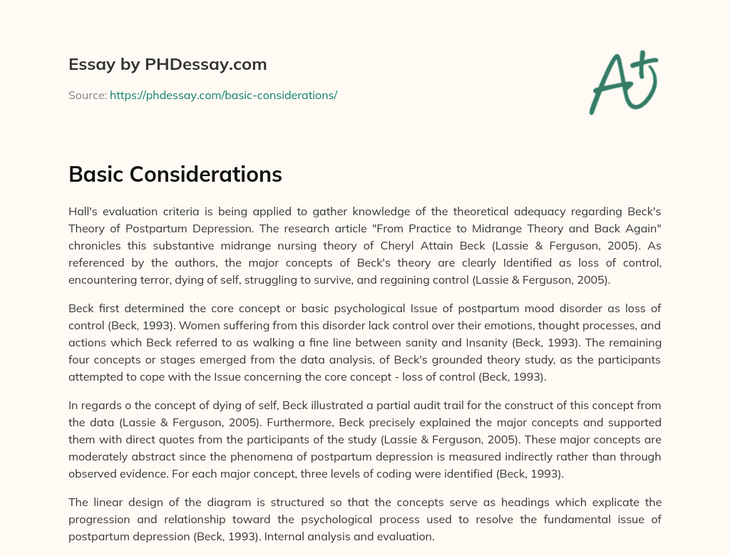 Basic Considerations essay