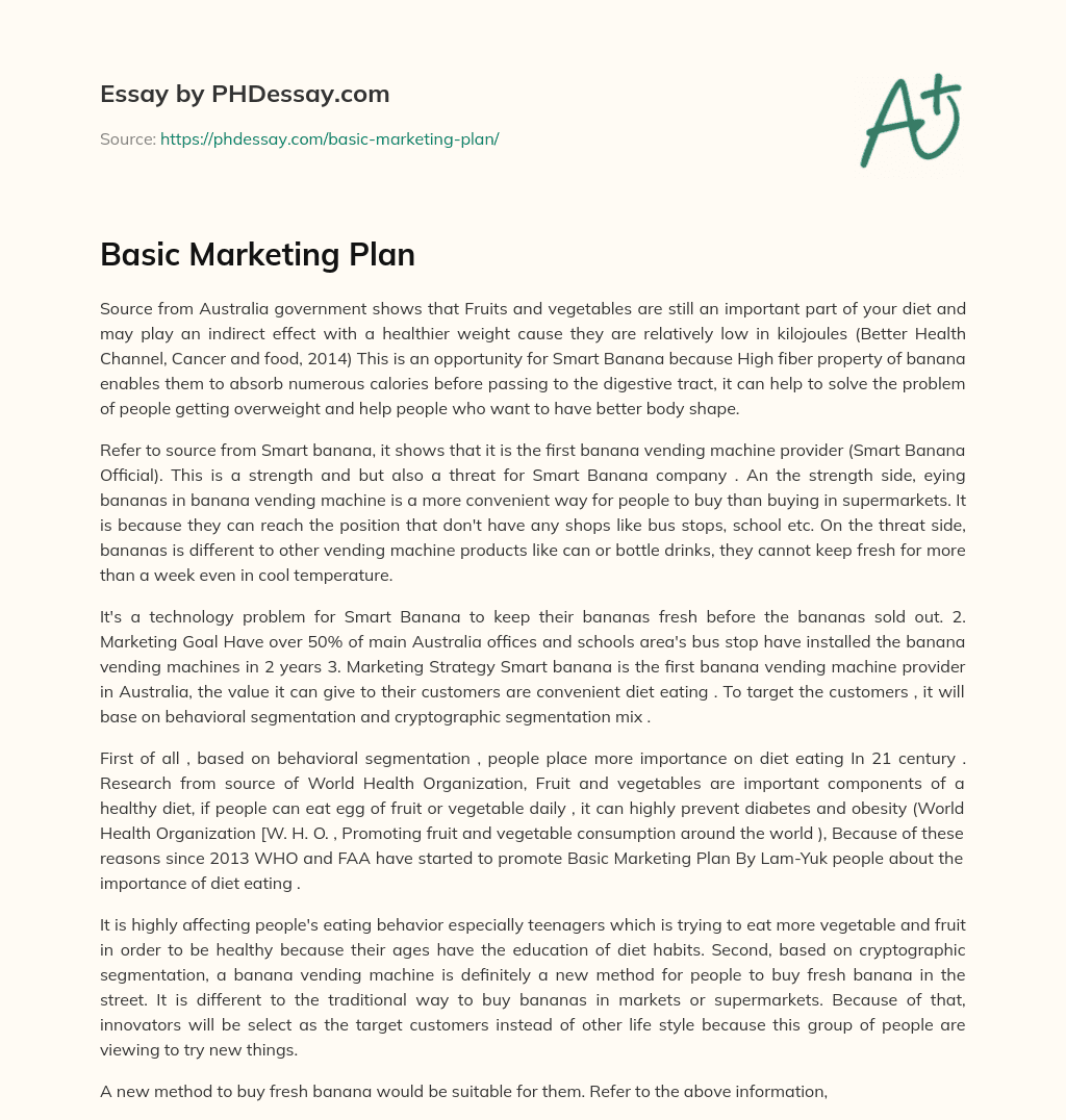 Basic Marketing Plan essay