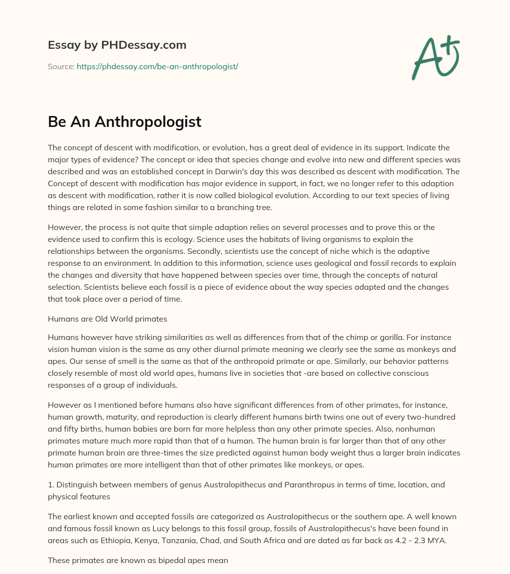 Be An Anthropologist essay