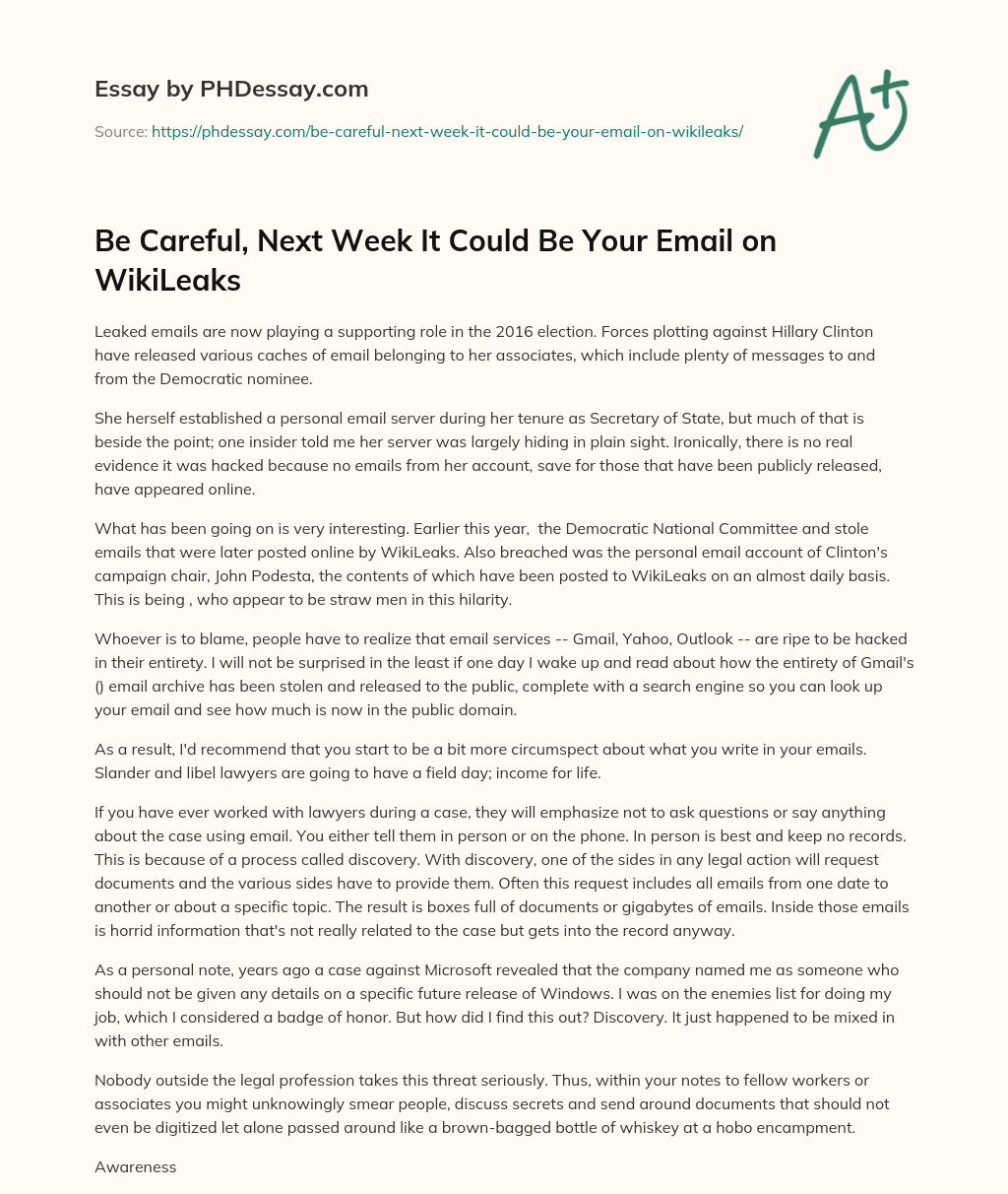 Be Careful, Next Week It Could Be Your Email on WikiLeaks essay