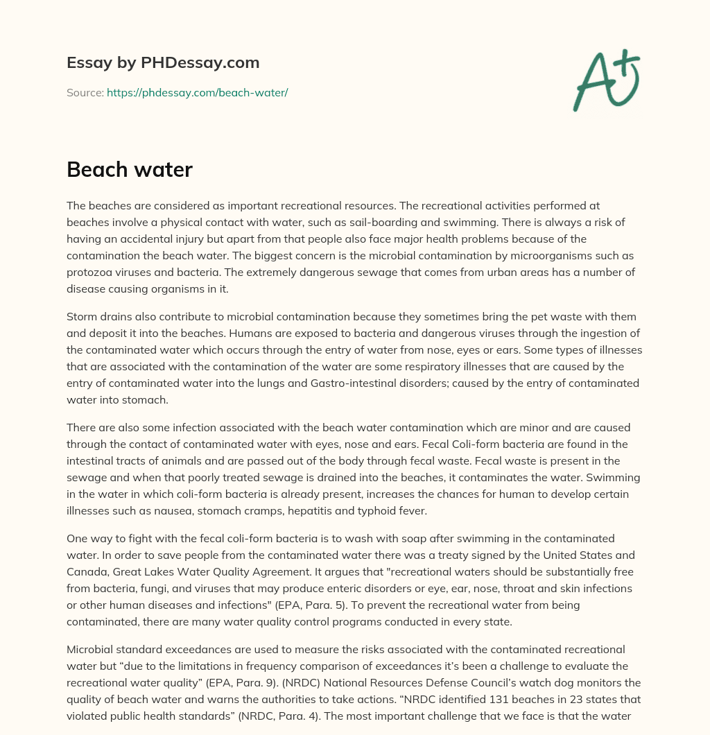 Risks of Microbial Contamination in Beach Waters essay