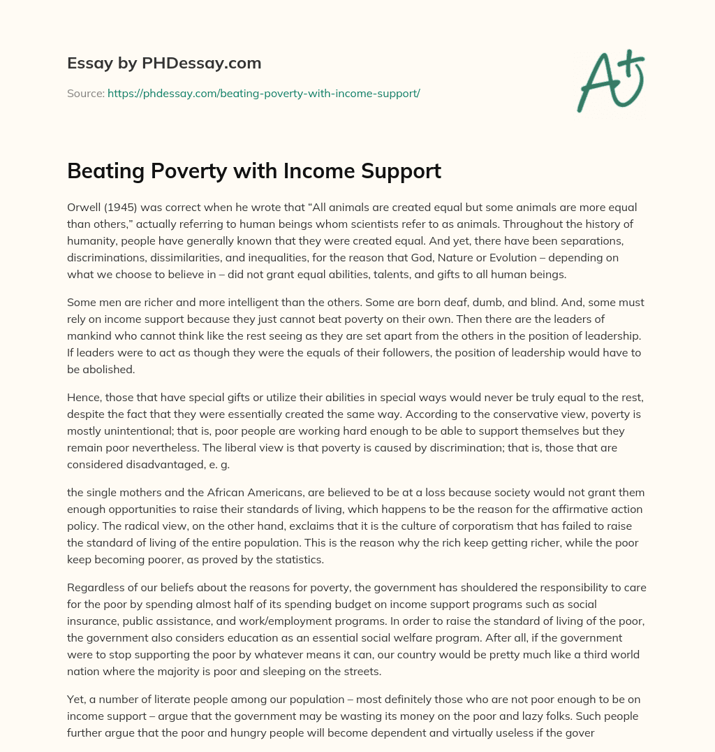 Beating Poverty with Income Support essay