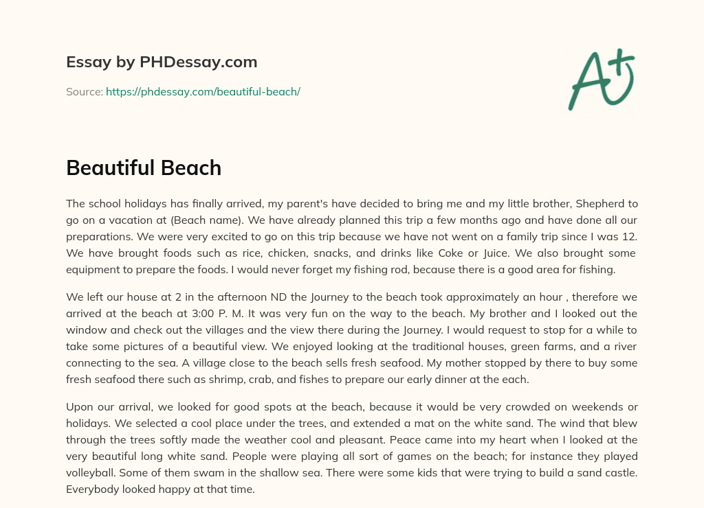 persuasive essay about beach