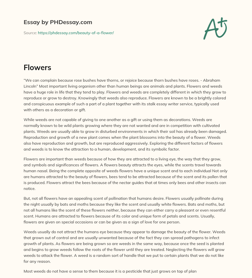 Finding Beauty in Thorny Bushes: The Role of Flowers and Weeds in Life essay