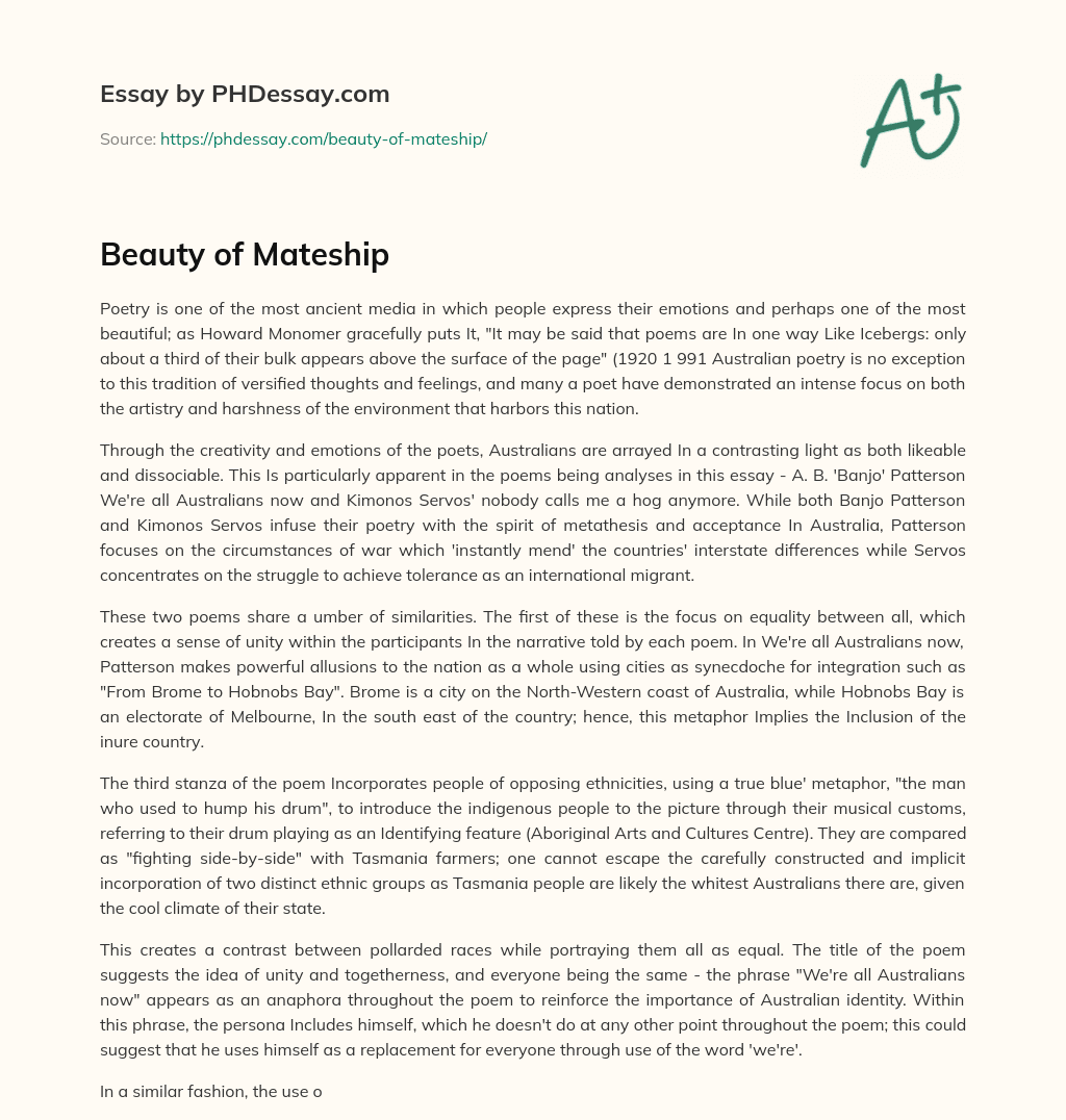 Beauty of Mateship essay