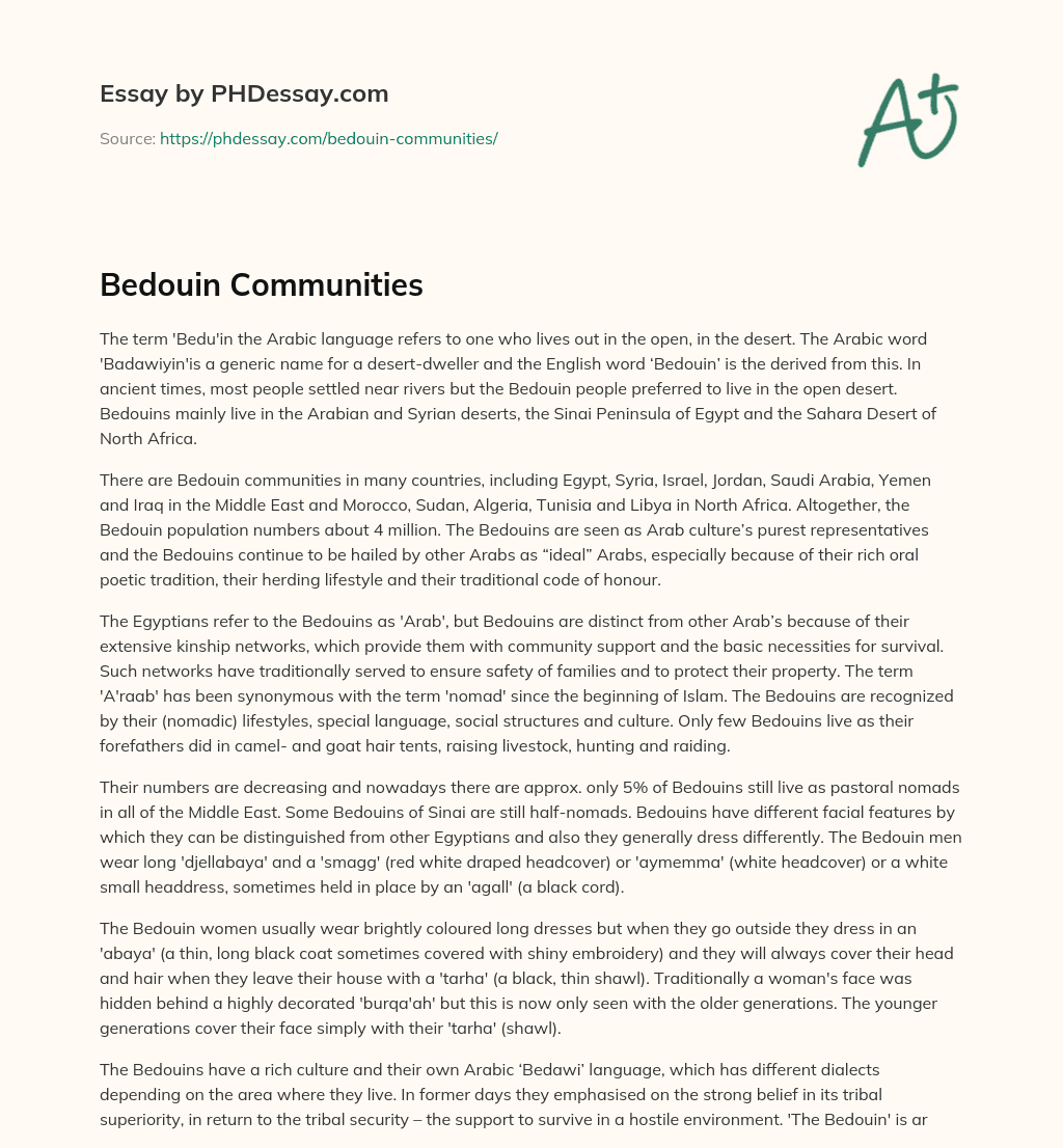 Bedouin Communities essay