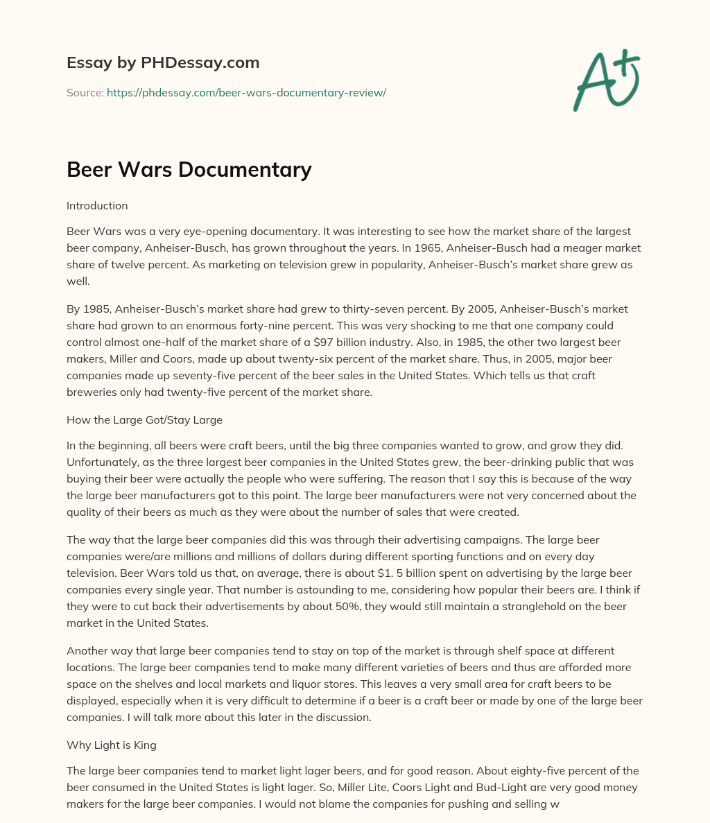 Beer Wars Documentary essay