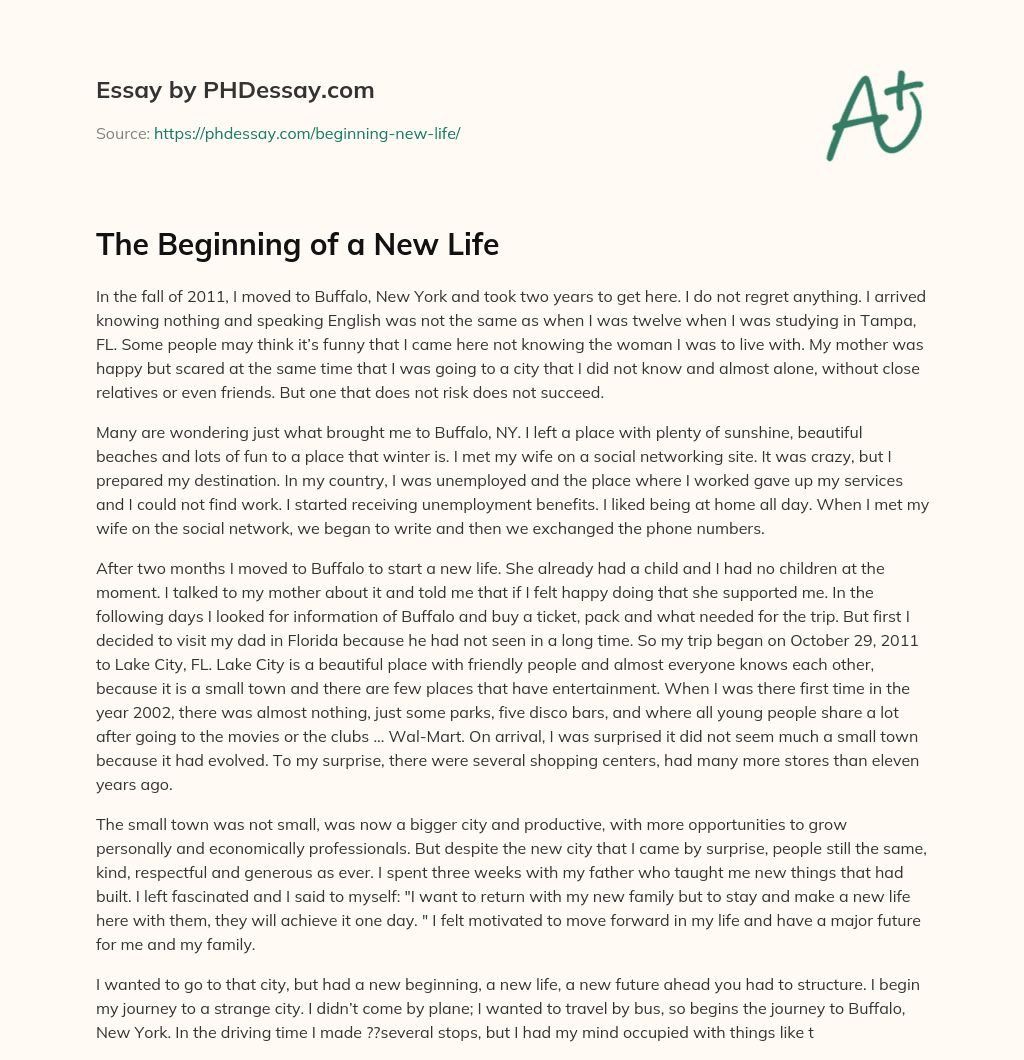The Beginning of a New Life essay