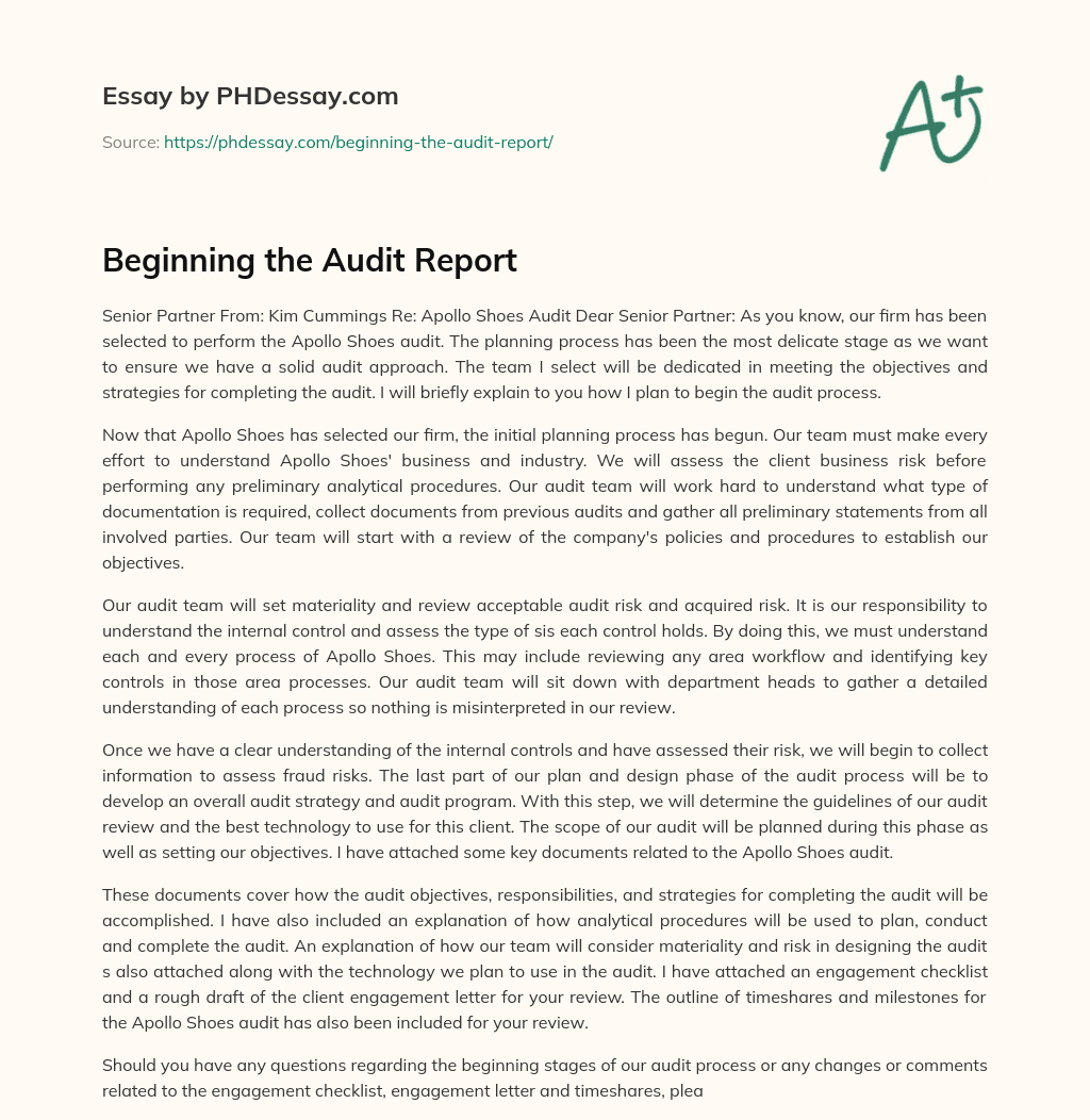 Beginning the Audit Report essay