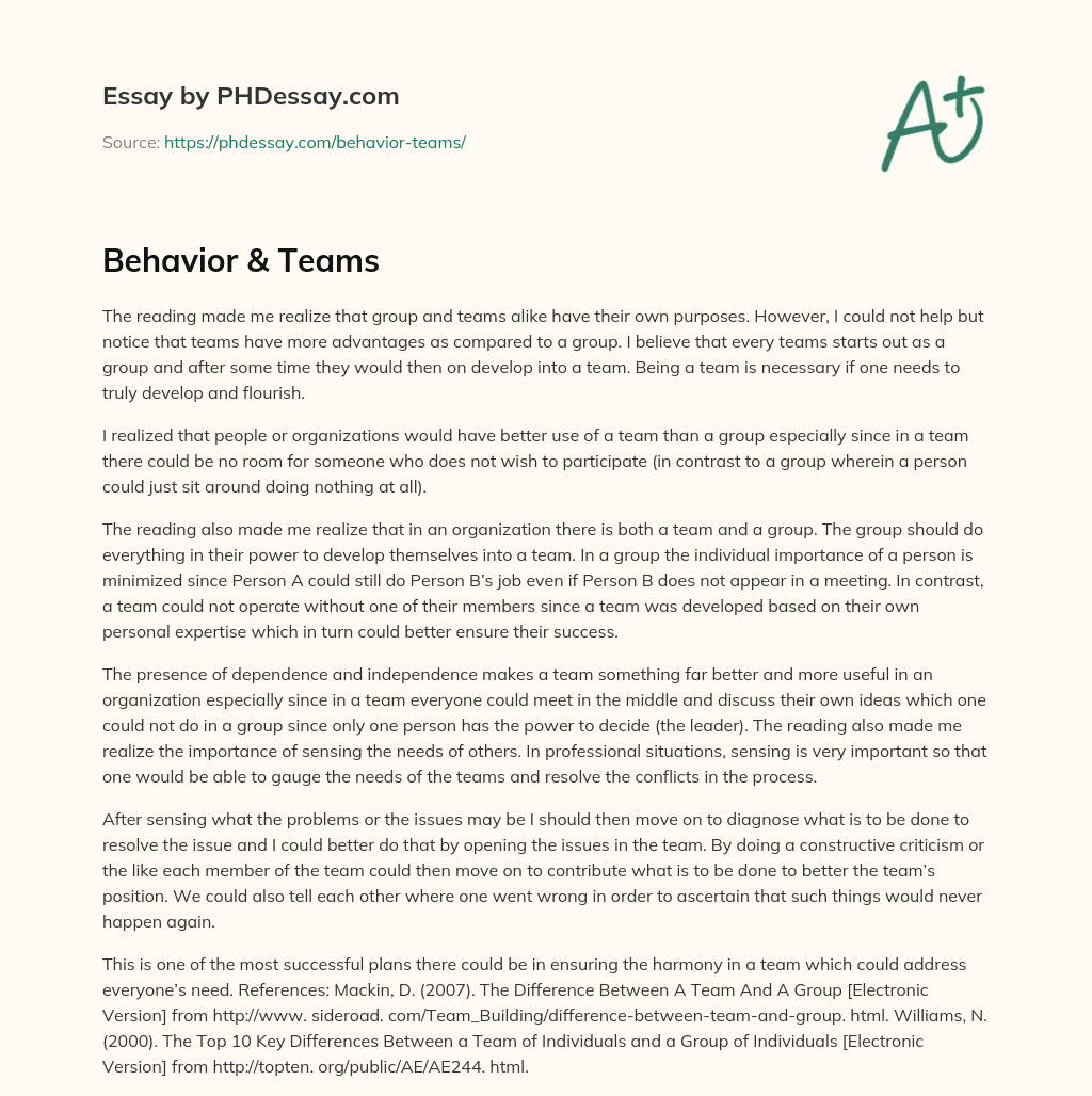 Behavior & Teams essay