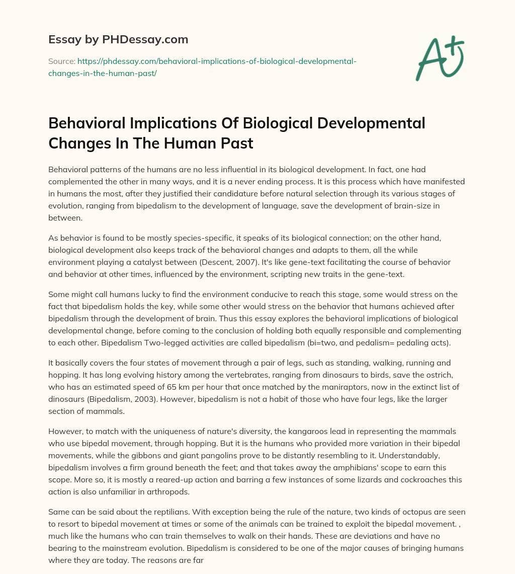 Behavioral Implications Of Biological Developmental Changes In The Human Past essay