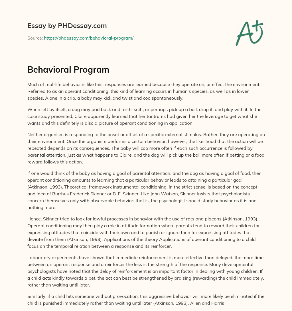 Behavioral Program essay