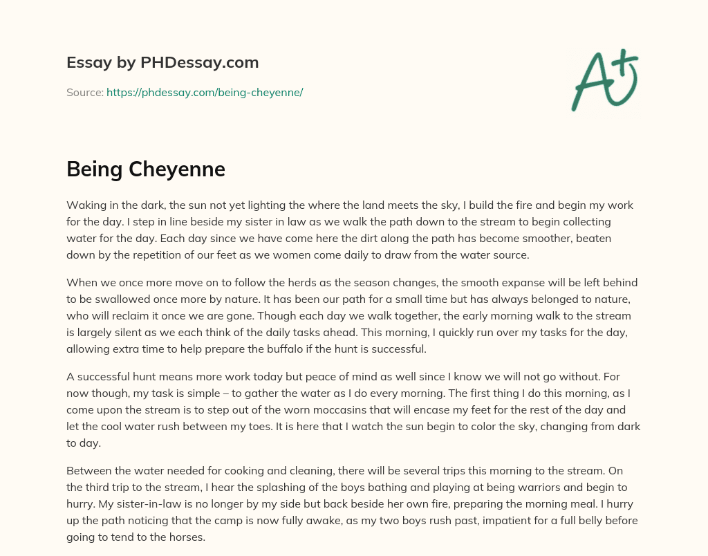 Being Cheyenne essay