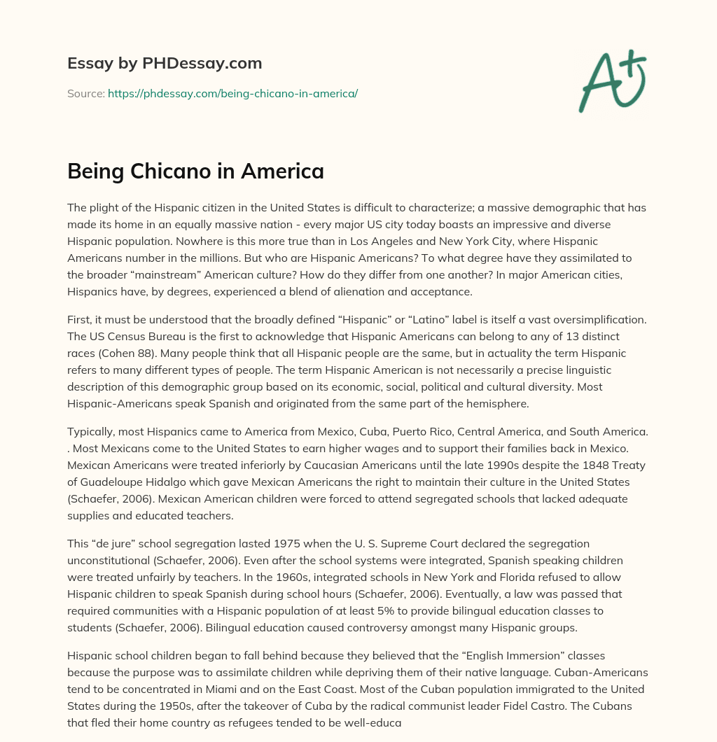 Being Chicano in America essay