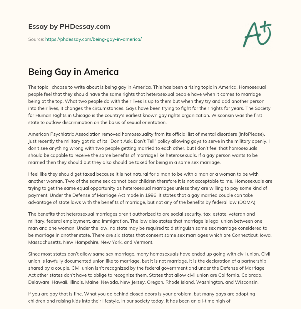 Being Gay in America essay