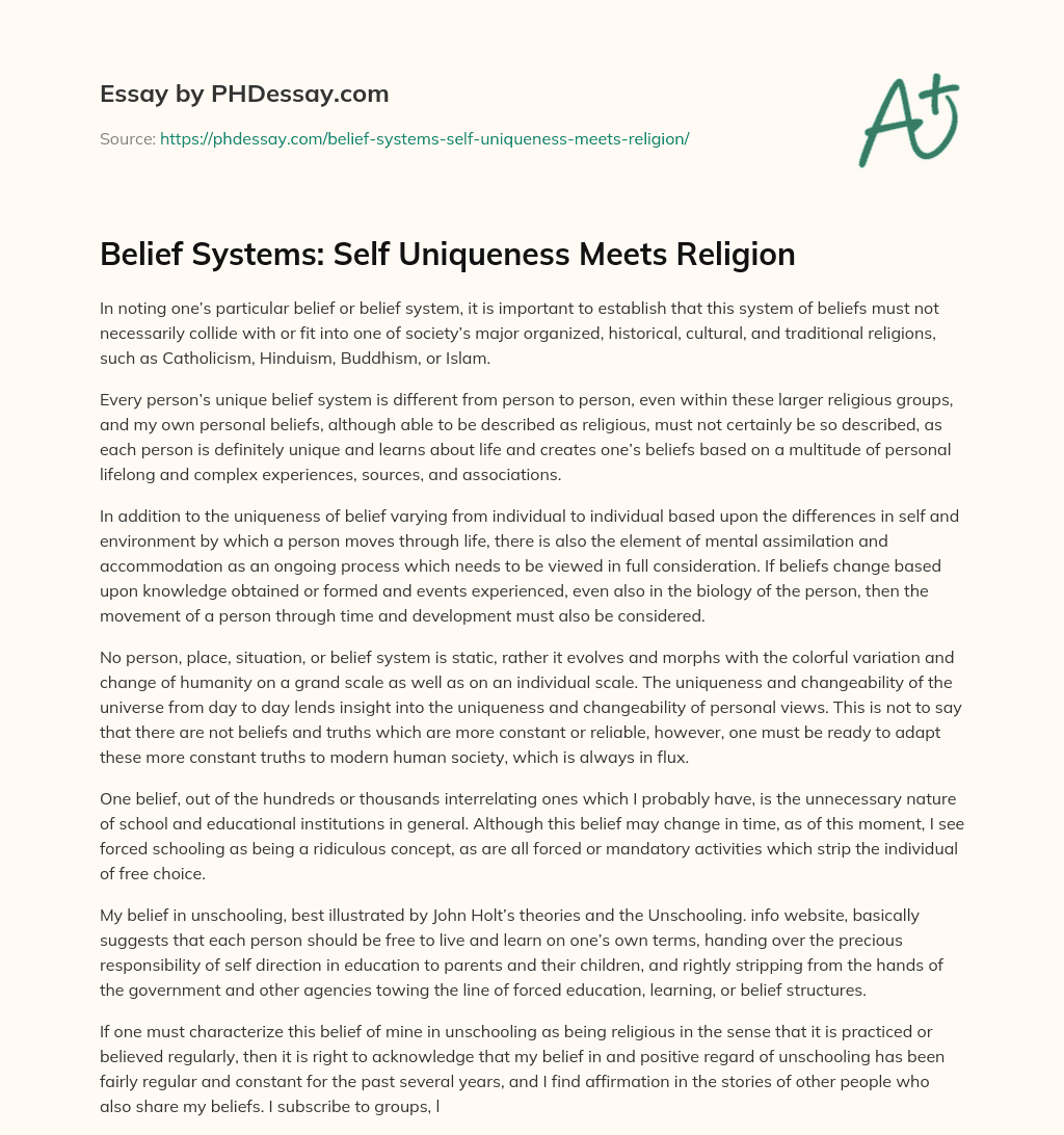 Belief Systems: Self Uniqueness Meets Religion essay