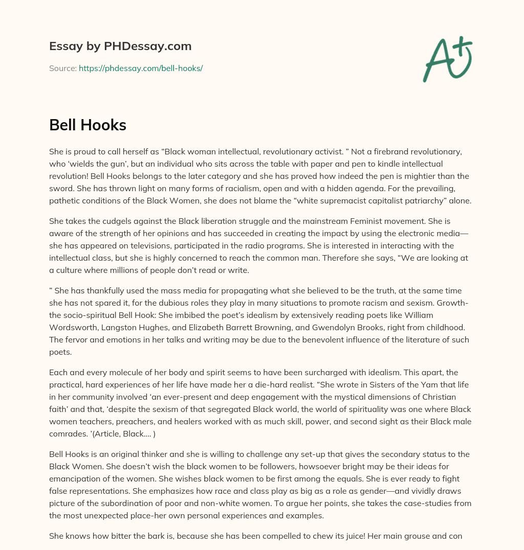 Bell Hooks: The Pen is Mightier than the Sword for Intellectual Revolution essay