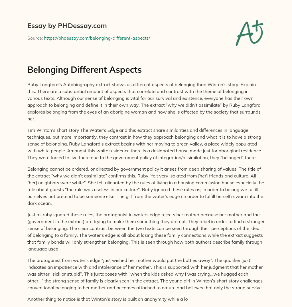 Belonging Different Aspects essay