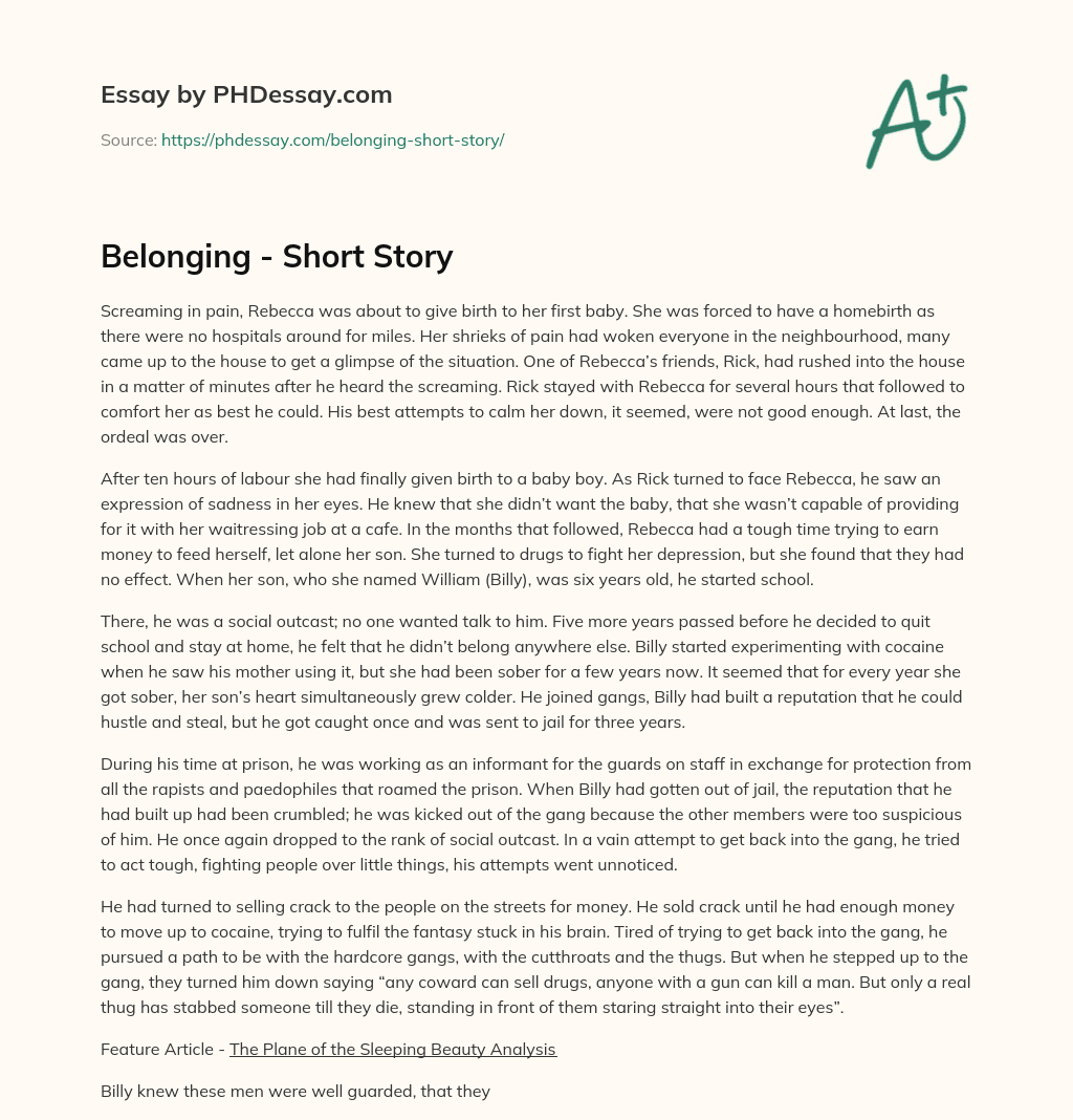 Belonging – Short Story essay