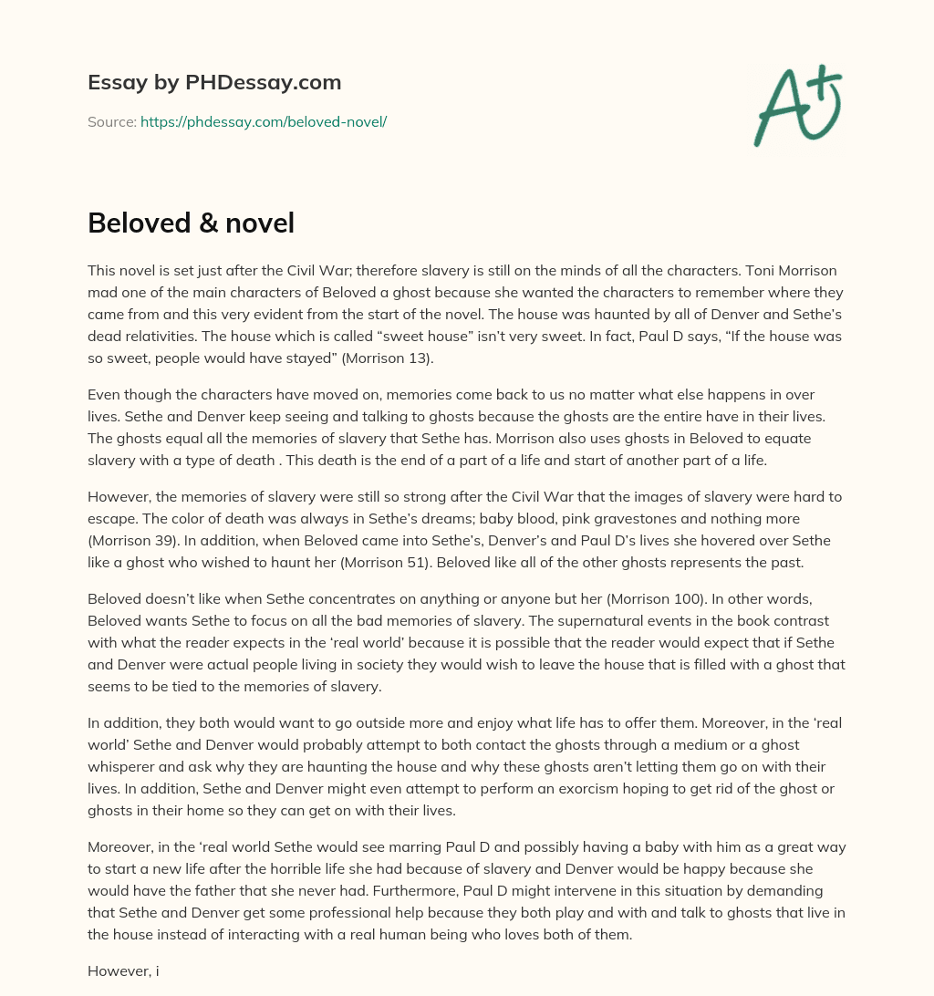 Beloved & novel essay