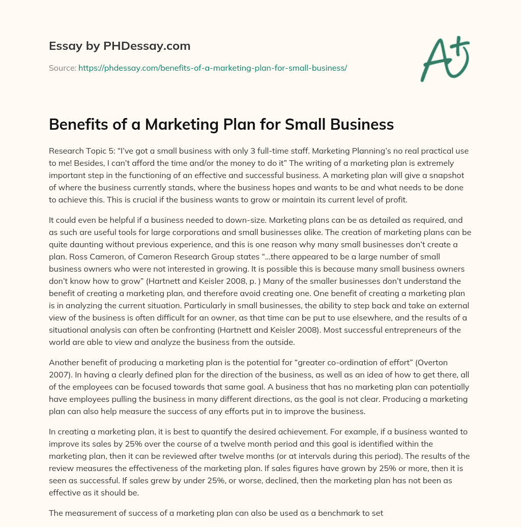 Benefits of a Marketing Plan for Small Business essay