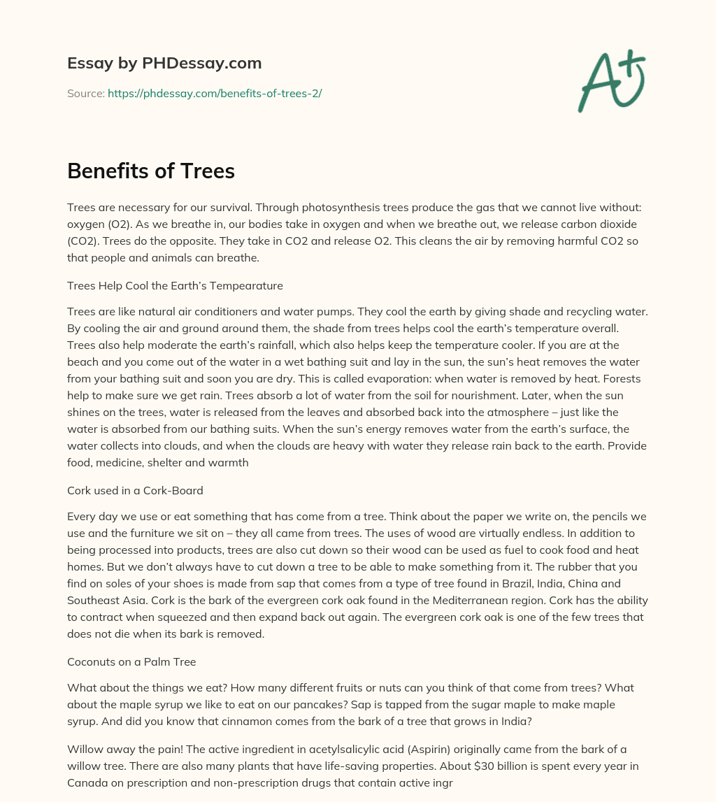 Benefits of Trees essay