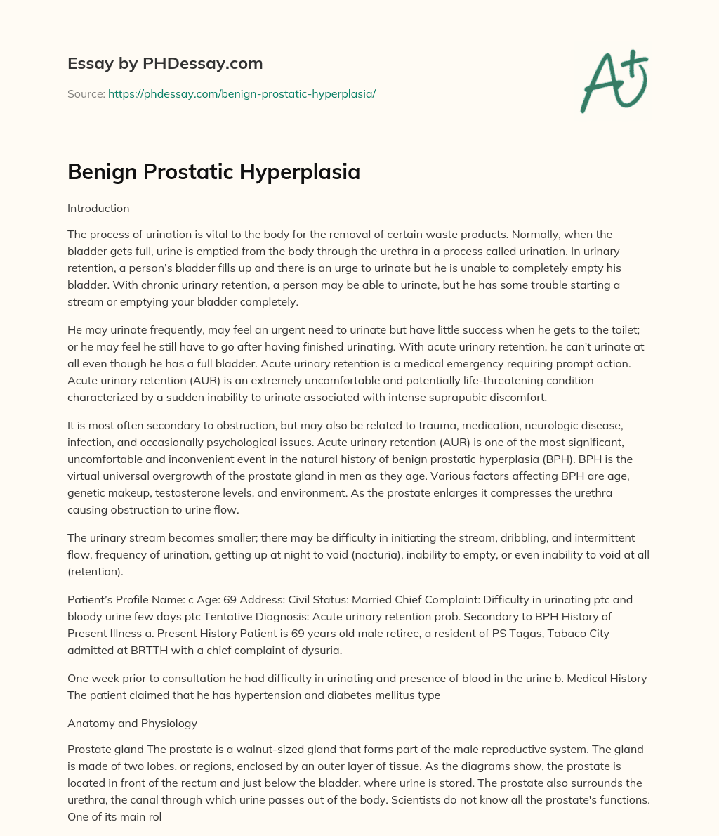 Benign Prostatic Hyperplasia essay