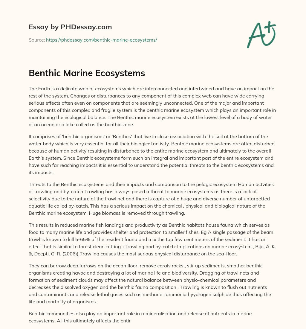 Benthic Marine Ecosystems essay