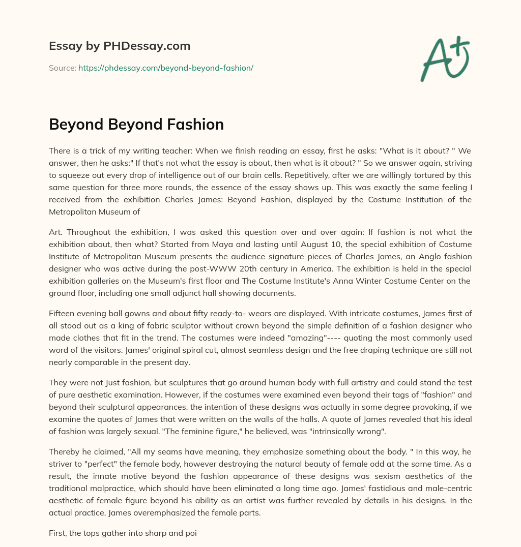 Beyond Beyond Fashion essay