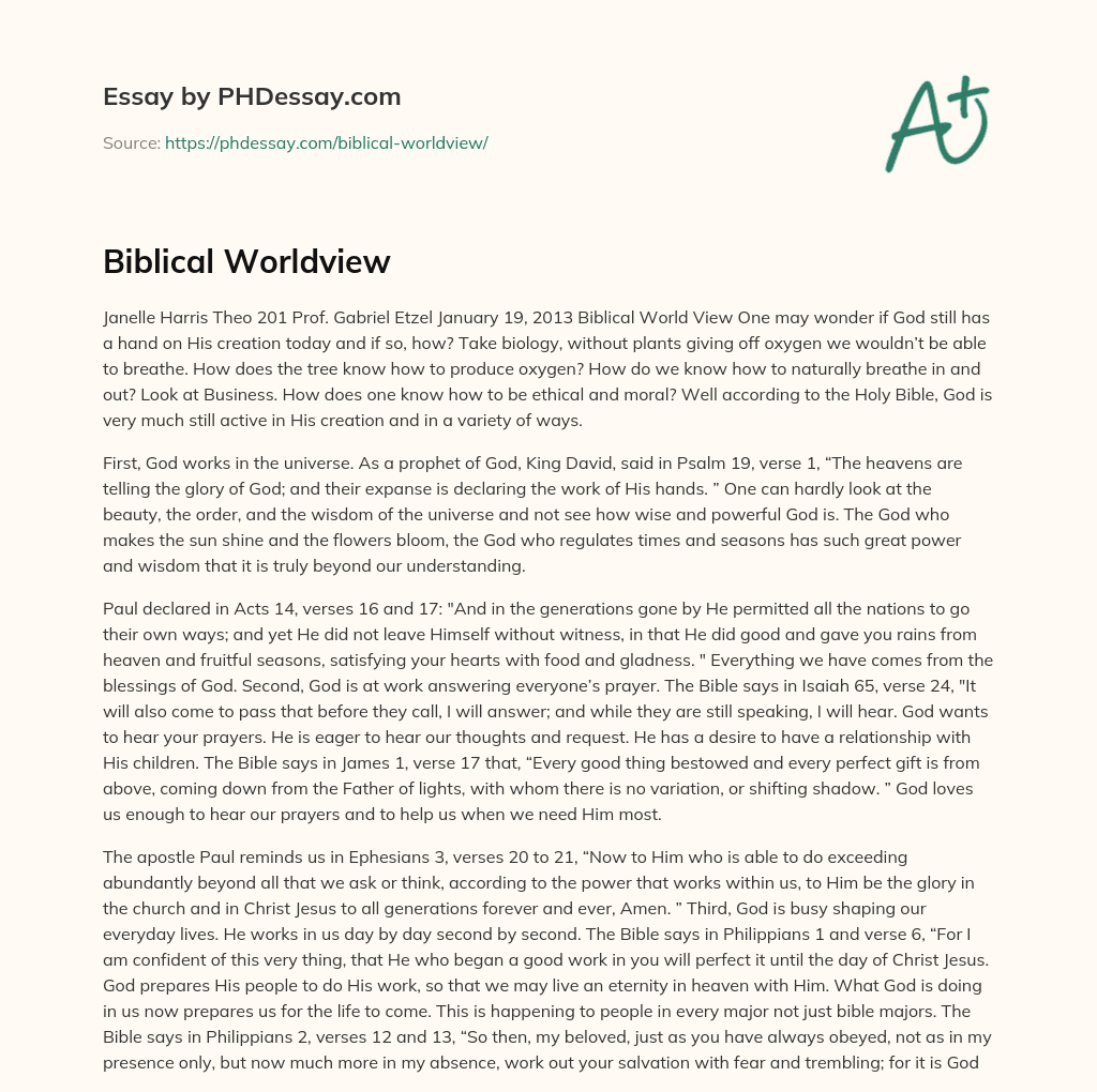 Biblical Worldview essay