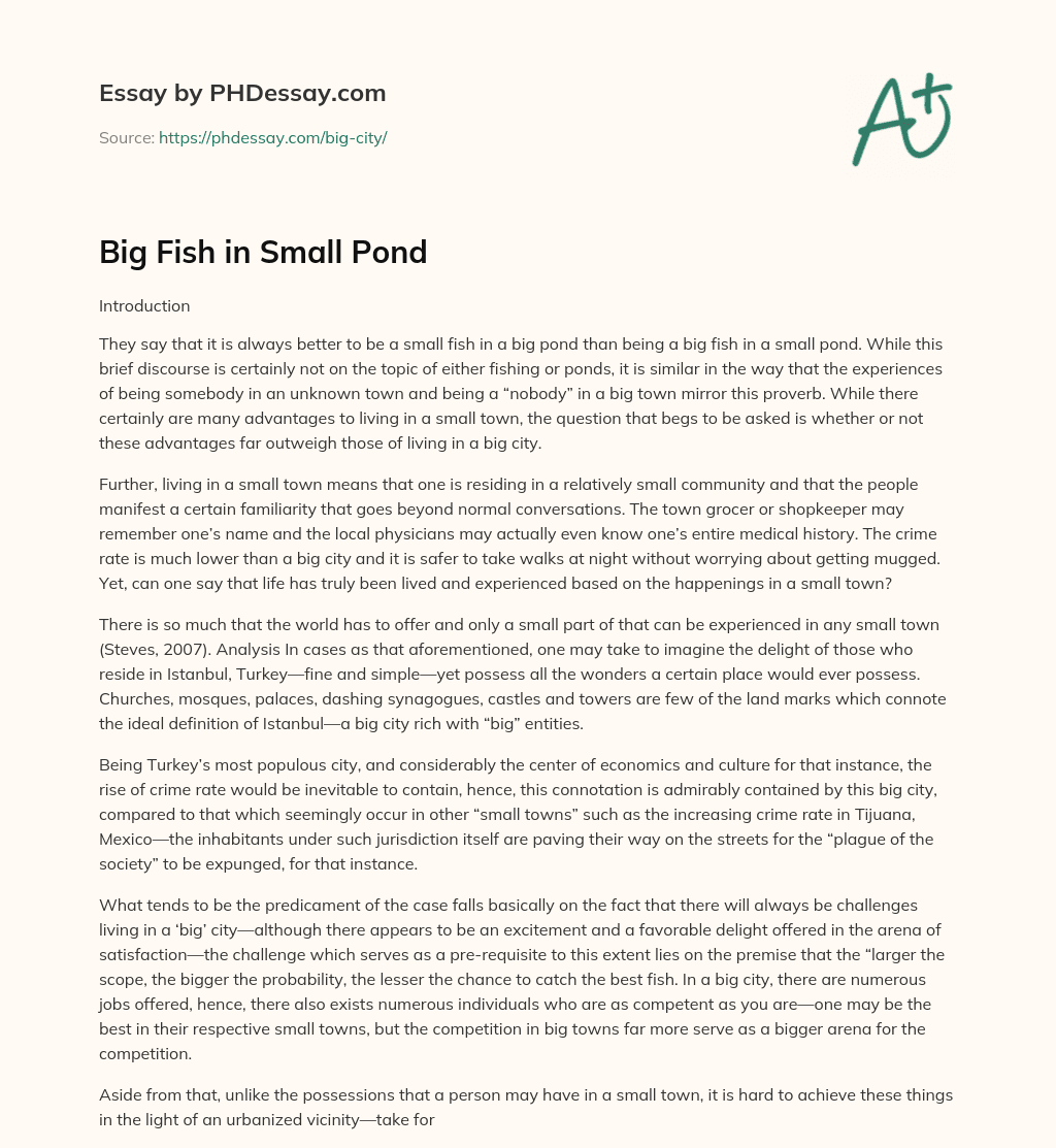 Big Fish in Small Pond essay