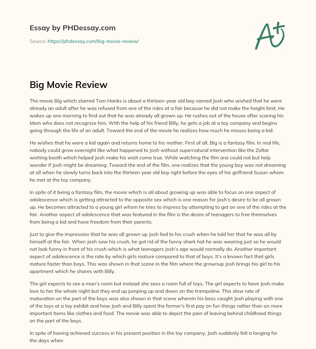 Big Movie Review essay