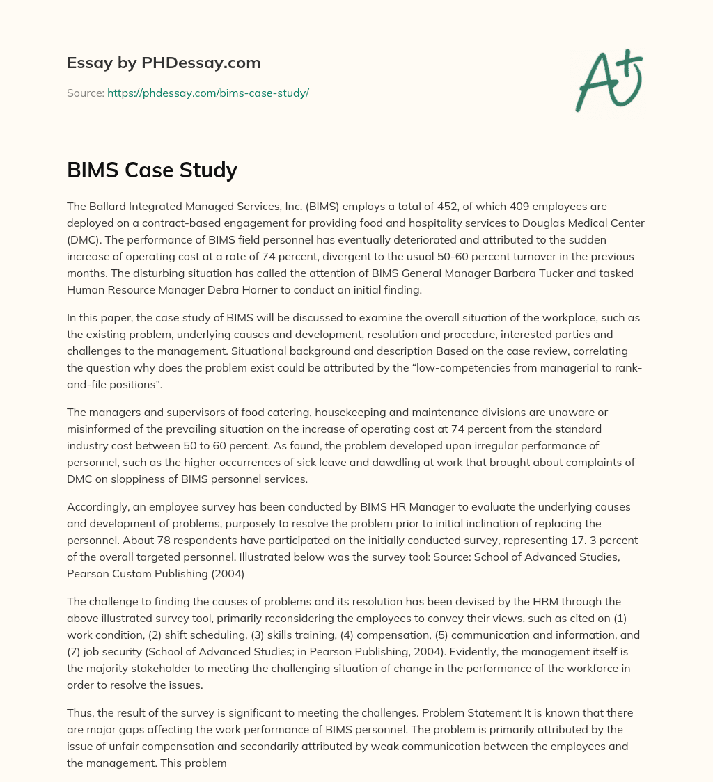 BIMS Case Study essay