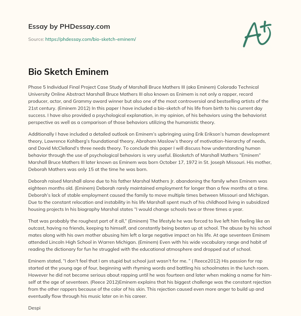 Bio Sketch Eminem essay